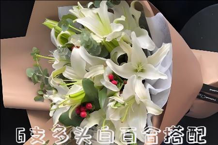 清远清新区哪里有花店