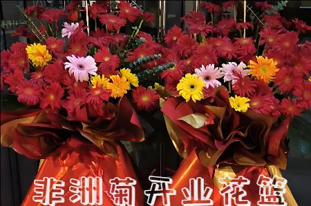 清远清新区哪里有花店